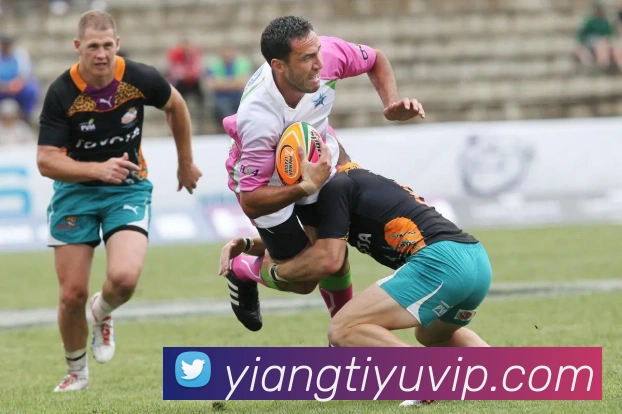 App Interface Preview