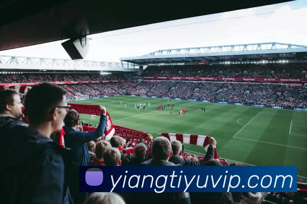 意昂体育APP 封面图